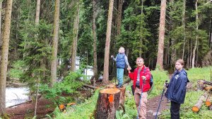 2024 весна Домбай Новочеркаск Анапа