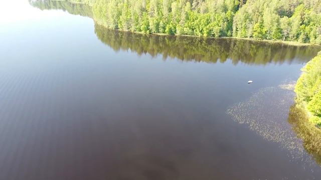 У мужчины навернулись СЛЕЗЫ на глаза когда понял как МЕДВЕДЬ поступил ради него