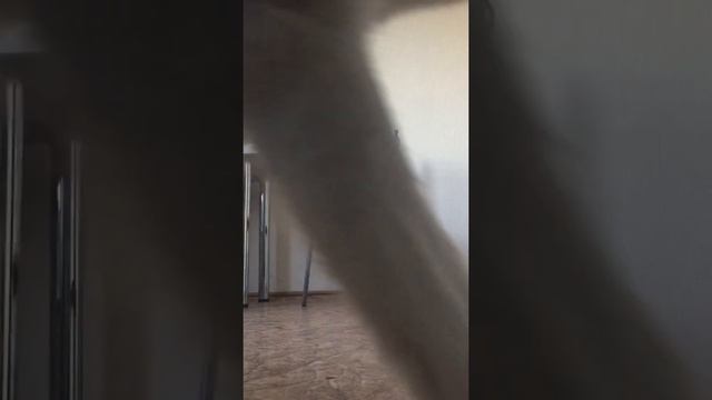 ХАСКИ. СКРЫТАЯ КАМЕРА смотреть онлайн