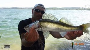 Ловля судака на донку на малька.2022..