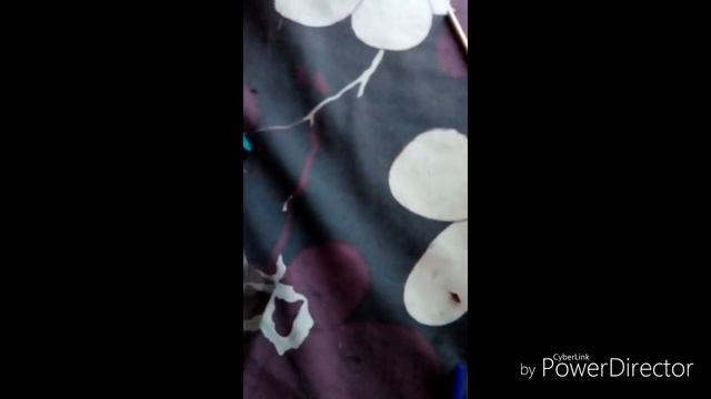 Как опредилить пол полевой ящерицы .Полный список еды для ящерицы! смотреть онлайн