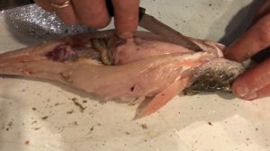 Как разделать  и почистить  налима