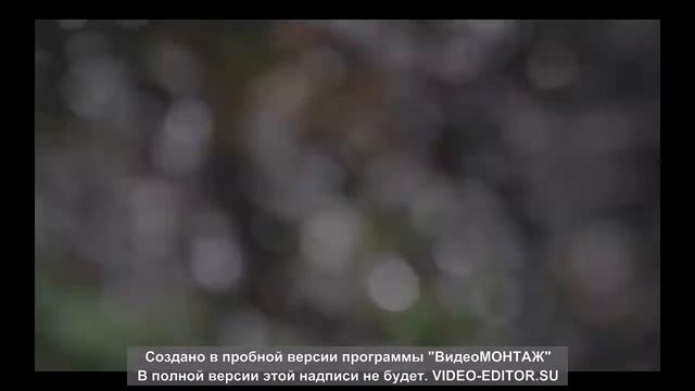 медитация "Поток изобилия"