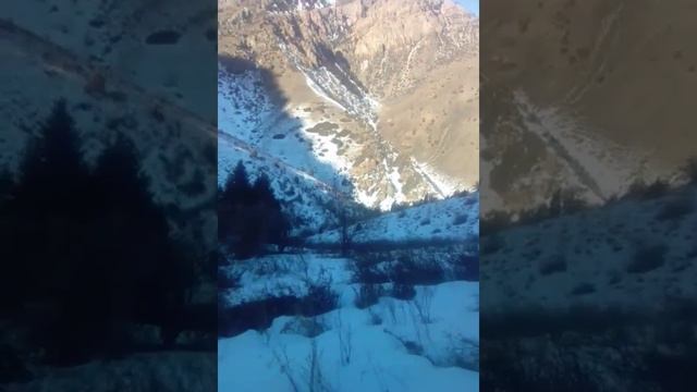 Дорогие друзья любите природу . смотреть онлайн