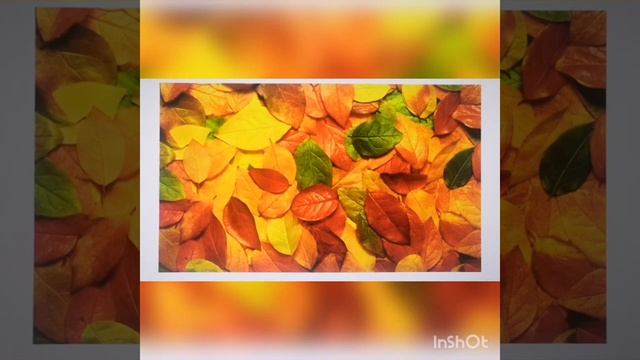 Видео рисования нетрадиционным способом с детьми младшего дошкольного возраста «Краски осени». смотреть онлайн