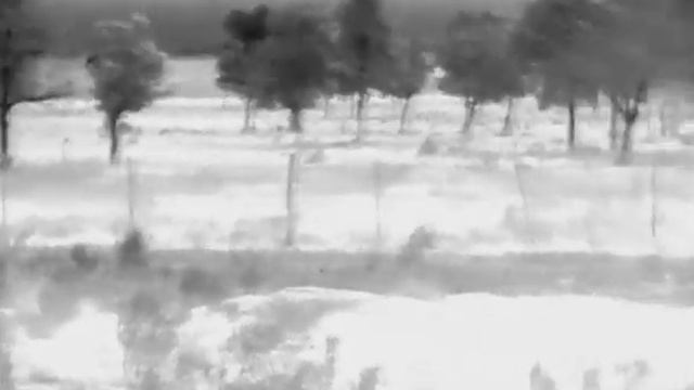 mira termal Hikmicro th25 смотреть онлайн