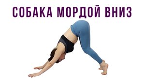 Собака мордой вниз (АДХО МУКХА ШВАНАСАНА) Йога для начинающих | Наталья Орбу