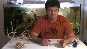 Правда о трубочнике. Междоусобица разводчиков.