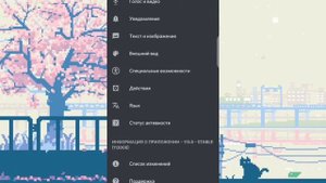 Как включить режим разработчика в Discord
