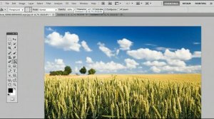 How To Use The Paint Bucket Tool In Adobe Photoshop