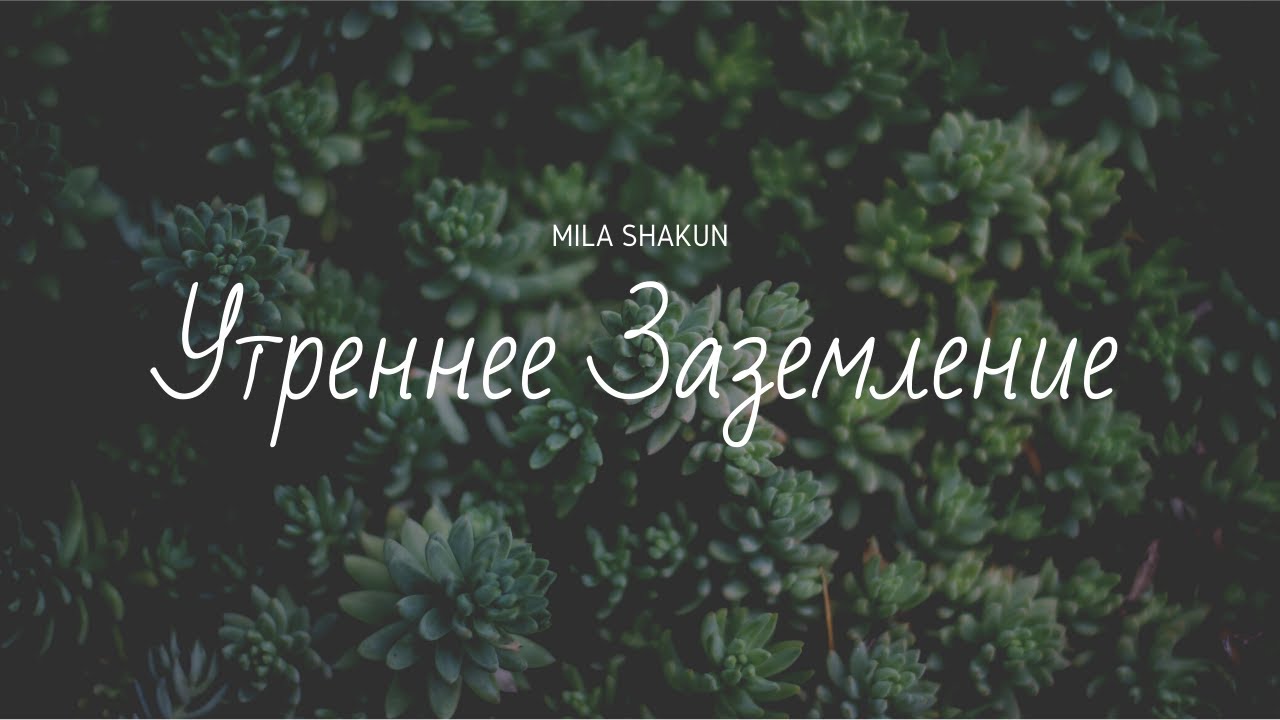 Утренняя практика заземления. Автор David Router.