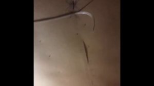 ЭЛЕКТРИКА СТЕНЫ ИЗ ГИПСОКАРТОНА 1-й и 2-й день