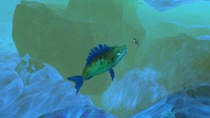 РЫБА МОНСТР СЪЕЛА МЕГАЛОДОНА, МЕГАЛОДОН В ШОКЕ! | Feed and Grow Fish