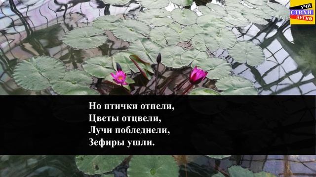 Ф.И. Тютчев " Листья " | Учи стихи легко | Караоке | Аудио Стихи Слушать Онлайн смотреть онлайн