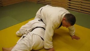 Классика дзюдо- с захватом ногами головы выход на удержание поперек.