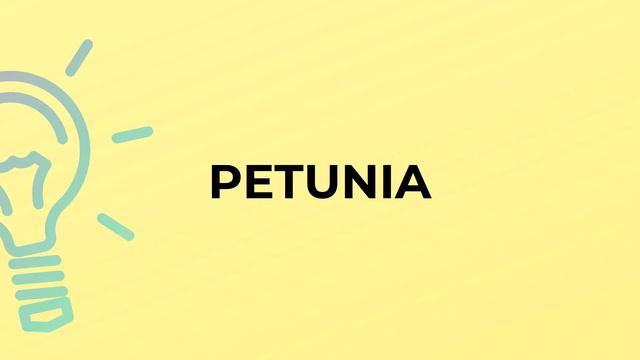 What is the meaning of the word PETUNIA? смотреть онлайн