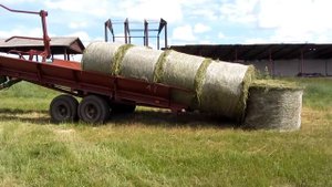 Погрузчик-транспортировщик рулонов сена ТП-10 1