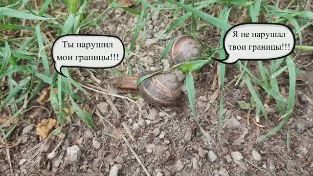 Про личные границы и работу над ними