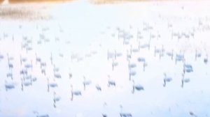 ТОП ТЕЛЕВИЗОРОВ ДЛЯ КУХНИ 2023