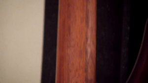 Ibanez SRC6 WNF Walnut Flat Short Scale 30" 6 String Crossover Bass Guitar Demo