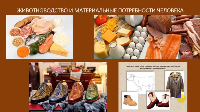 12 05 2020 Технологияд 5класс РыковаН Н смотреть онлайн