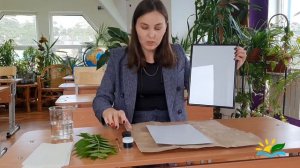 Мастер-класс картина "Отпечатками листьев". Интерьер