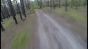 медведь атакует велосипедиста