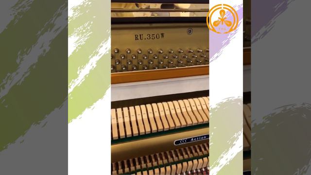 PIANO APOLLO RU.350W - TOYO PIANO - Đã qua phục hồi đúng quy chuẩn смотреть онлайн