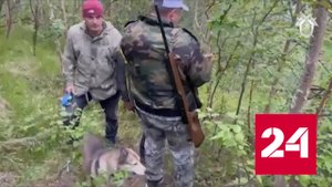 В Магадане нашли пропавшую пенсионерку – женщина стала жертвой медведя - Россия 24
