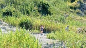 Бухта Инал.Источник голубой глины