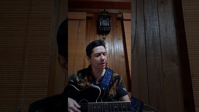 Авторская песня и исполнение 'Двадцатый..' Андрей Елисеев. смотреть онлайн