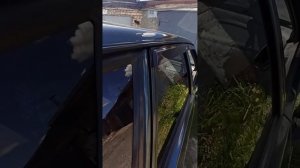 прайд м12" 15" и 4 пары даймондов