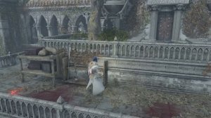 Demon's Souls Внутренние покои как открыть срез, путь дорога к воротам