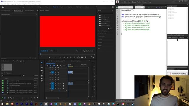 Premiere Scripting Tutorial: moveToTrack and addTracks смотреть онлайн