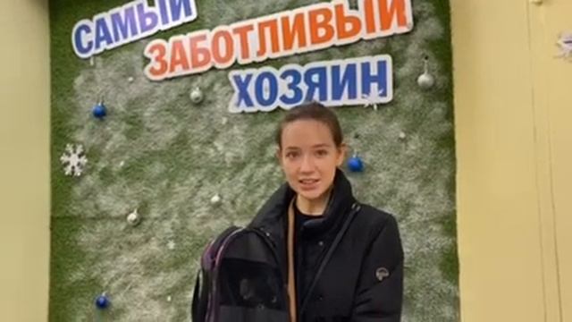 Тишинская Анна Алексеевна и кошка Соня. Ветклиника Сытая Морда смотреть онлайн