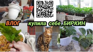 Влог/Купила себе Биркин