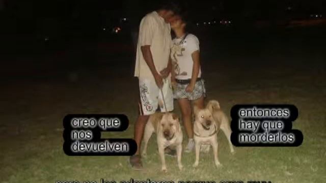 los mimo tono смотреть онлайн