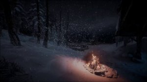 Зимний лесной ветер и метель  со снегом у теплого костра звуки которых помогут вам уснуть