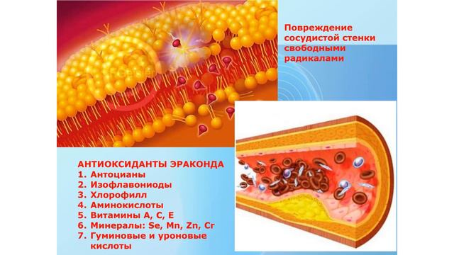 6 Эраконд снижает холестерин смотреть онлайн
