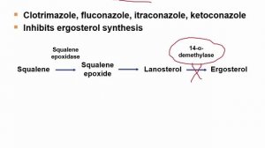 USMLE RX - 7.Микробиология - 1.Антимикробные средства - 38.Азолы
