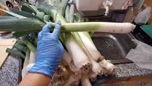 УБИРАЕМ ЛУК - ПОРЕЙ. СПОСОБЫ ХРАНЕНИЯ#сургут