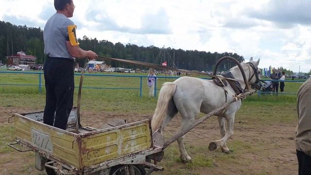 Сабантуй в Николо-Берёзовке 2022 ч9 смотреть онлайн