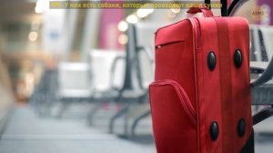 8 секретов, которыми сотрудники аэропортов не спешат делиться с простыми смертными