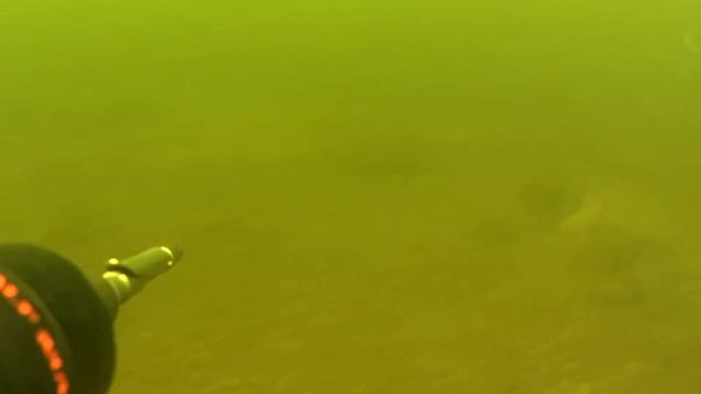 #Подводная охота. ( Окунь-Судак) смотреть онлайн