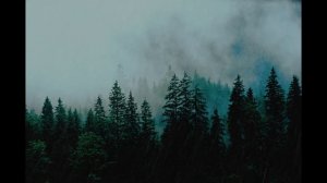 Resting Comfortably - Relaxing Silent Hill OST with Rain Sounds (1 Hour Silent Hill Ambient Music)