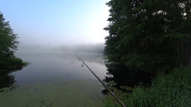 Отводной поводок-лучшая оснастка для ловли окуня.НА ЭТУ ОСНАСТКУ ЛОВЯТ ВСЕ. смотреть онлайн