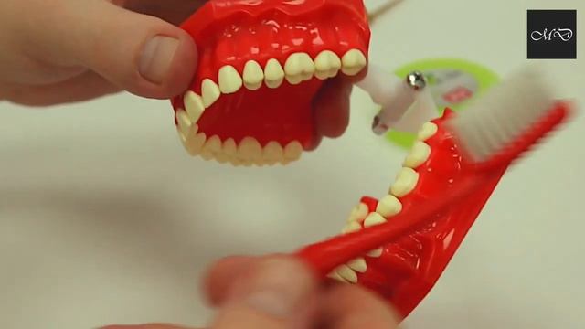 Как правильно чистить зубы смотреть онлайн