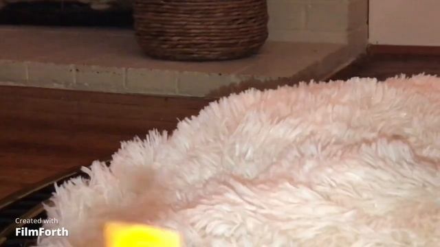 Christmas Train Music Video. смотреть онлайн