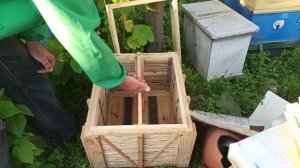 Технология расширения пасеки отводками пчел без потерь. Это вам не расскажет не