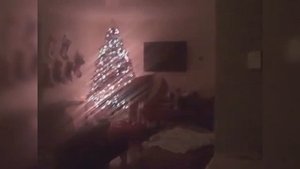 5 САНТА КЛАУСОВ СНЯТЫХ НА КАМЕРУ 11